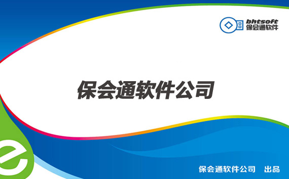 核算参数  出纳账务（或单式账）