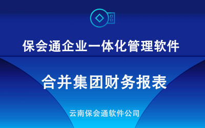 保会通软件合并集团财务报表